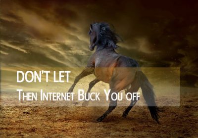 blog don't let the internet buck you off
