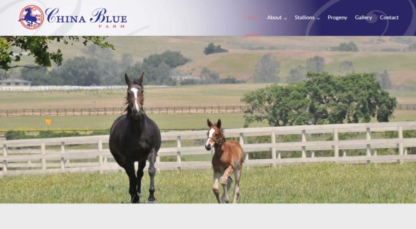China Blue Farm