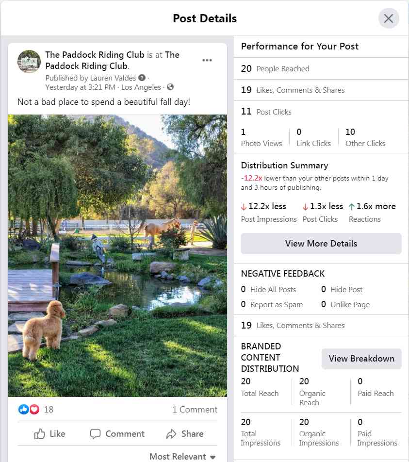 PaddockFacebookDistrubtionSample1-a