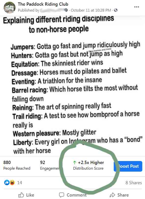 Courtesy of the Paddock Riding Club